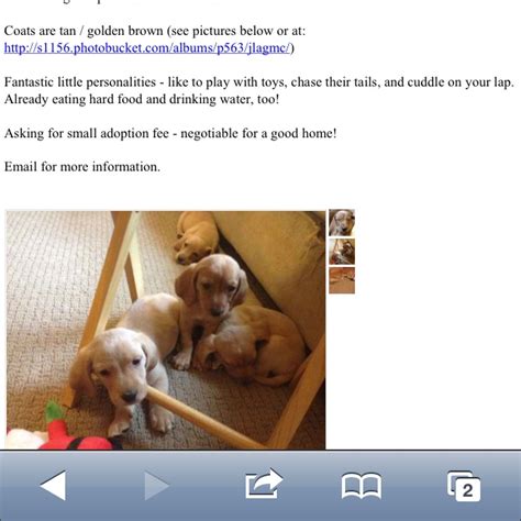 100 Is about my limit for the price. . Craigslist lansing pets